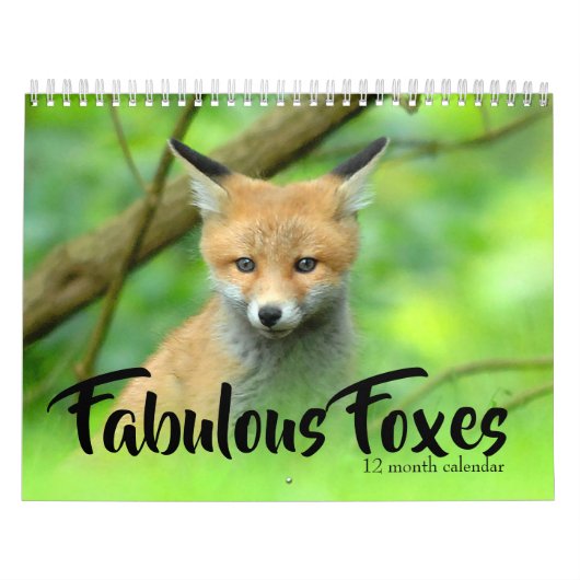 Fabulous Foxes 2026 Kalender (Titelbild)