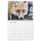 Fabulous Foxes 2026 Kalender (Jan 2026)