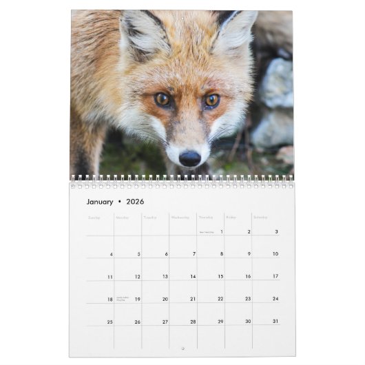 Fabulous Foxes 2026 Kalender (Jan 2026)