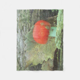 Fabulous Fungi Fleecedecke