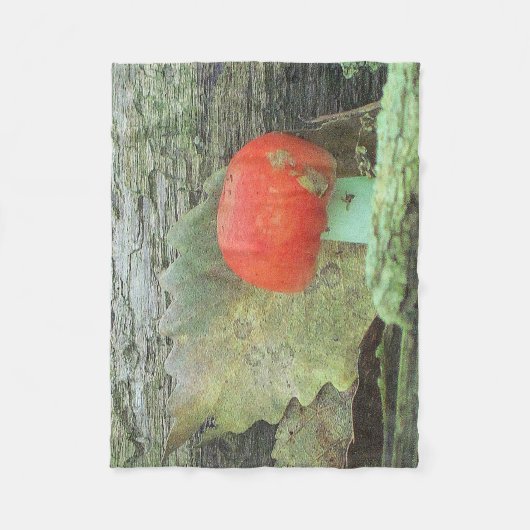 Fabulous Fungi Fleecedecke (Vorderseite)