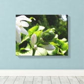 Fabulous Hosta Leinwanddruck (Insitu (Holzboden))