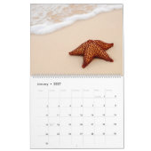 Fabulous Starfish Kalender (Jan 2027)
