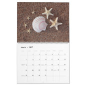 Fabulous Starfish Kalender (Mär 2027)