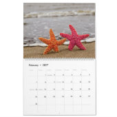 Fabulous Starfish Kalender (Feb 2027)