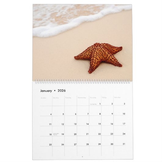 Fabulous Starfish Kalender (Jan 2026)