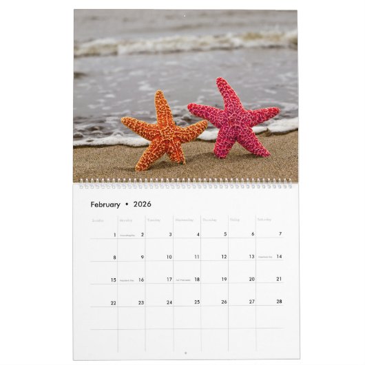 Fabulous Starfish Kalender (Feb 2026)