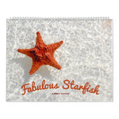 Fabulous Starfish Kalender (Titelbild)