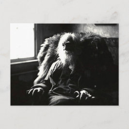 "Face Always to Sunshine" Mickle Street Camden Postkarte