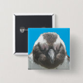Face Button in South African Penguin (Vorne & Hinten)