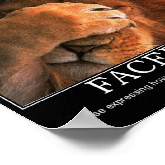 Facepalm Poster (Ecke)