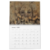Faces-Kalender Kalender (Jan 2027)