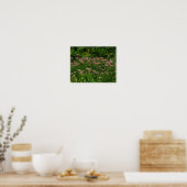 Fach Sweet Joe Pye Weed Blume Orton Art Poster (Küche)