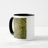 Fächergewölbe im Kloster Tasse (Vorderseite Links)