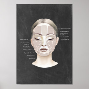 Facial Fat Pad Anatomy Schönheit Wellness-Center D Poster