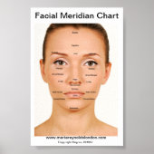 Facial Meridian Chart Poster (Vorne)