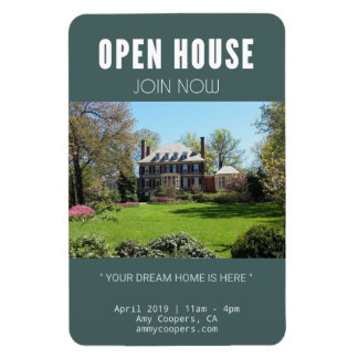 Fackel von Liberty (3" x 4" Magnet) Magnet