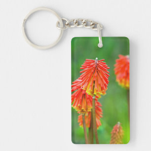 Fackellilie (Kniphofia Uvaria), Westkap Schlüsselanhänger