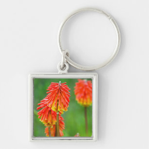 Fackellilie (Kniphofia Uvaria), Westkap Schlüsselanhänger