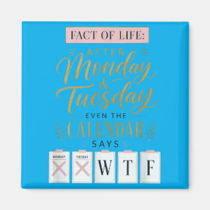 Fact Of Life Kalender sagt What On Earth Humor Magnet