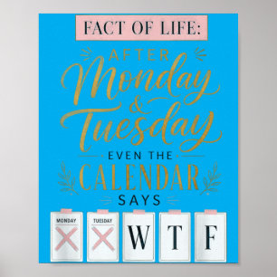 Fact Of Life Kalender sagt What On Earth Humor Poster