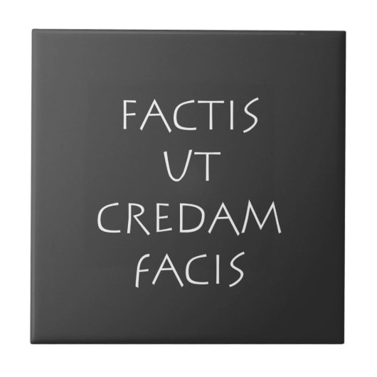 Factis la credam facis fliese (Vorderseite)