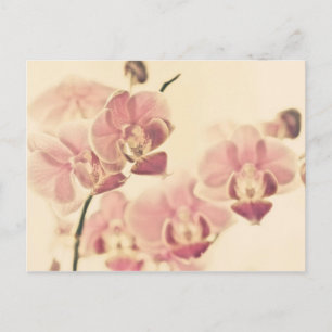 Fade Postkarte
