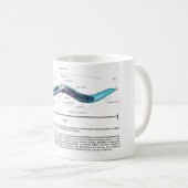 Fadenwurm-Spulwurm Caenorhabditis Elegans Diagramm Kaffeetasse (VorderseiteRechts)