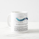 Fadenwurm-Spulwurm Caenorhabditis Elegans Diagramm Kaffeetasse (Vorderseite Links)