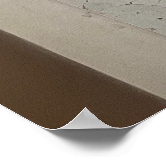 Fading Beauty Poster (Ecke)