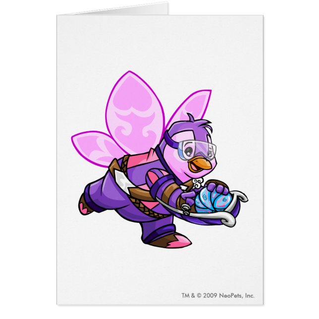 Faerieland Team-Kapitän 2 (Vorne)