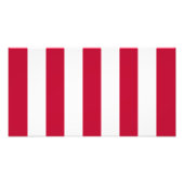 Fahne der US-Söhne mit 9 Streifen Fotodruck (Vorne)