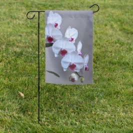 Fahne des weißen Orchideen