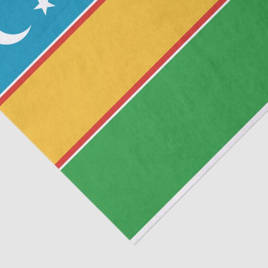 Fahne Karakalpakstan Seidenpapier (Ausschnitt)