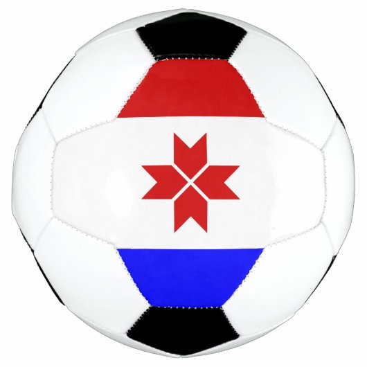 Fahne Mordovia Fußball (Vorderseite)