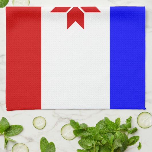 Fahne Mordovia Geschirrtuch (Gefaltet)