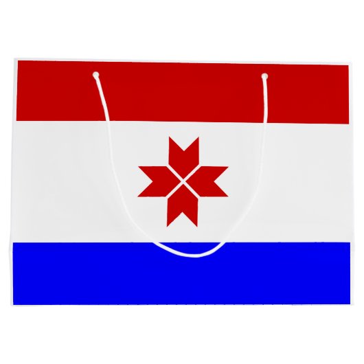 Fahne Mordovia Große Geschenktüte (Rückseite)