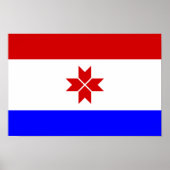 Fahne Mordovia Poster (Vorne)