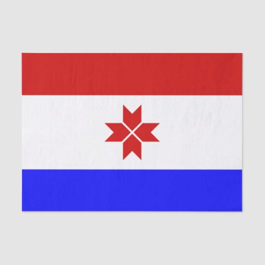 Fahne Mordovia Seidenpapier (Vorderseite)