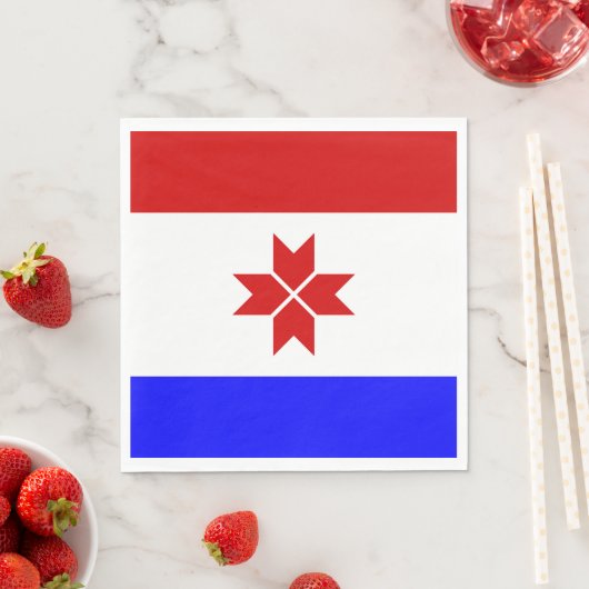Fahne Mordovia Serviette (Beispiel)
