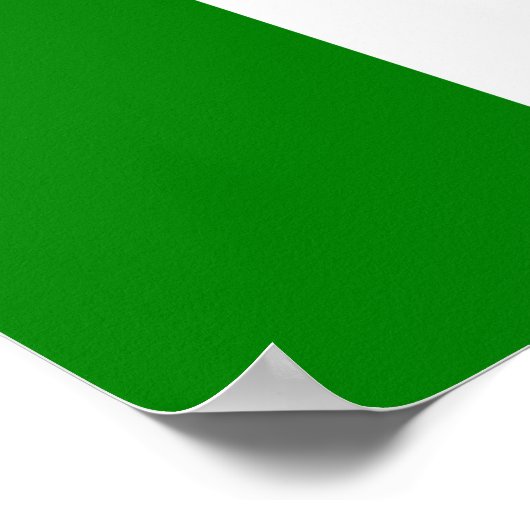 Fahne Unabhängiges Taiwan - 臺 獨 立 運 動 - 台 Poster (Ecke)