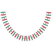 Fahne Wimpelkette (Alle)