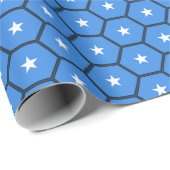 Fahne-Wrapping-Papier für Somalia Geschenkpapier (Rolleneckpunkt)
