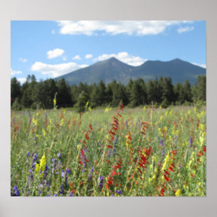 Fahnenmast-Wildblumen Poster