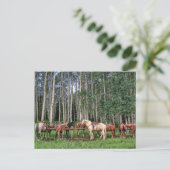 Fahrbereit Postkarte (Stehend Vorderseite)