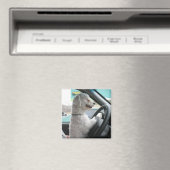 Fahrbichon Magnet (In Situ (Geschirrspüler))