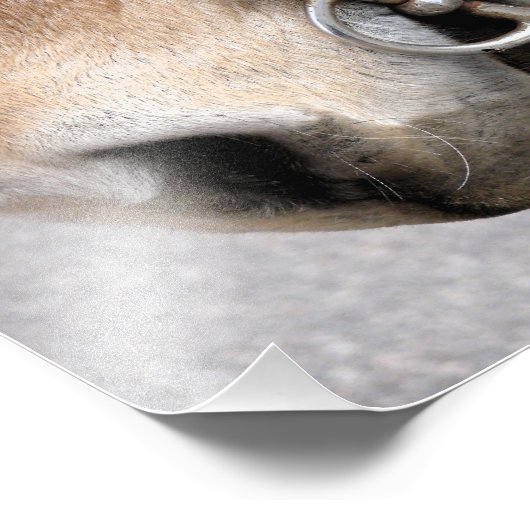 Fahrbit Fotodruck (Ecke)