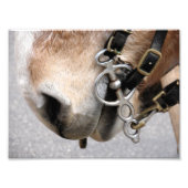 Fahrbit Fotodruck (Vorne)