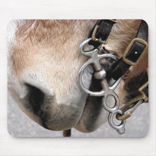 Fahrbit Mousepad (Vorne)
