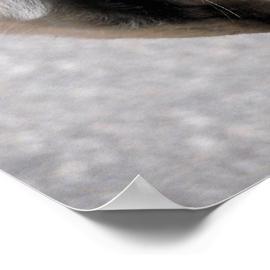 Fahrbit Poster (Ecke)